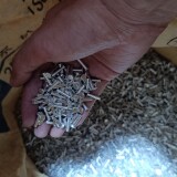 1000070071-ee88583937956e975cbfc9b756bd2f3e