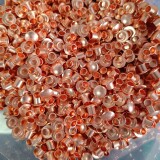 1000070281-50b62bd486c95d26a99321dda8ebe2bc