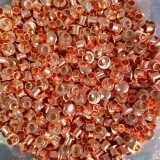 1000070280-2d7bbf9a29cf3683a6acafe715090121