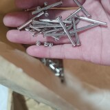 1000067351-8bf71ffd993a107d4fd62bb8d4e529d8