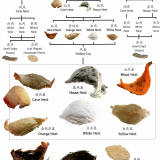 1767958394479-a007a36251d99c39c823f0a76277f91c