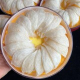 BN090810-dda3969f25b18180b74cea6857003431