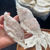 a1768027976179-016037418fec80de420f9ea583eebc38