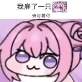 1-852-7547cd34df252f8b0b077aaa5f5c28e8