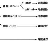 4cb1036d0f0d762f9ad3b0329f9f11660ebfccee2efb532e0e1be6a4e152123f-547364ce7c81a0aff0bd49bd27976728