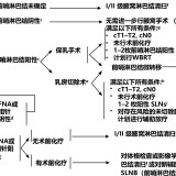 01f3bc8857e0c4c97140348cff8ba544066035aea07b2be48cfef6b6d438f0dc-4678c0f5bdaaeab1c1c437d1152fe390