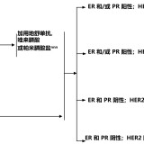 e6b106418cfe6ce539d03c707349b4fc7958b40c420a3ad7332d236254e8b70c-ac20b42e6bccf9ba39f1c6feca425515