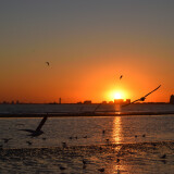 DSC_0175-0025a7bf1c86bbef6e93e838f3d32bc0