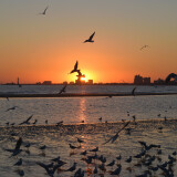 DSC_0205-8238a34b94a6de679af7dbe4bf5c0b2d