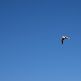 DSC_0022-c96ef4090d0920699478a0e8ad067faa