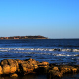 DSC_0020-4def8f33733aa8e5d6834efd9179f3e1