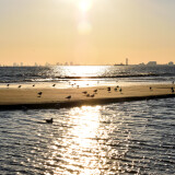 DSC_0062-2d8a19a7d59a17641f99326722dcf041