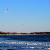 DSC_0026-0f9c8cb5a243139ab36fb23104280704