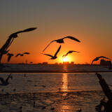 DSC_0181-d6a5fb5231a156486339d9f897064e07