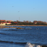 DSC_0001-208d1f7453ead2a831019a70ba8a8bdb