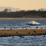 DSC_0114-ef2bcd98ab4126b48403e9ff2440cc67