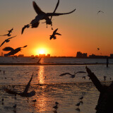 DSC_0191-cb3e7add2f13df095c4eea2e533ab916