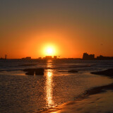 DSC_0166-6baa6fc984a5c1c54b926b34eb316c6c