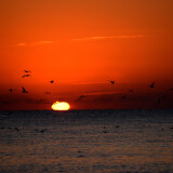 DSC_0325-3ce919d5577b789f0b5f94ee3a23aae4