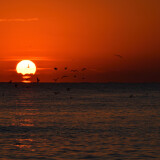 DSC_0350-74b754a32b96cd3871144ed0b0e708d8