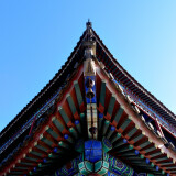 DSC_0427-725b3e6c176404e2a636df390f5d216a