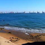 DSC_0453-6cde793d5bddfee4ffa3555eea1a81e2