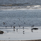 DSC_1017-08f610ec73c8ddbc7c6d0be077fe17f4