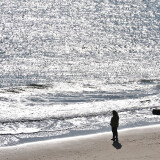 DSC_0461-2e75f1f413641fa1dfa79f970db919f2