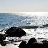 DSC_0510-ffcdd2008a91ab0da2626f153967a30b