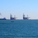 DSC_0486-54fc8a866cf427d638127ae47daadf1c