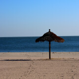 DSC_0578-5939b73174759ac2bd9f070bb2f3dca3