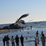 DSC_1054-700ff46abee2ea549f88082466c4e769