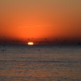 DSC_0328-753029579dcc132b59a7751c7c86723d