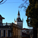 DSC_1005-9acc41395890c61ca3a59c421b0103e1