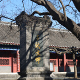 DSC_0417-cb2e5827569be9206c439104c2f6db41