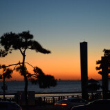 DSC_0301-db4ffed5baa9674cc4cadc9aa207309e