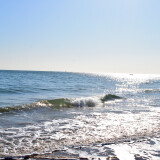 DSC_0533-06bf4ae40bf17b00765dc042a3609d87