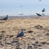 DSC_1024_01-2cd0332f5106abf28803091fd6ad3119