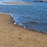 DSC_1065-ea66862f2dc86f2ef1af58ae37282b8d