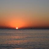 DSC_0338-d3418d5c6af570673bbab973bbf0bda9