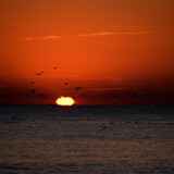 DSC_0323-108d1d2d2cdd86b4eb5398e338e89b00