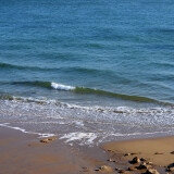 DSC_0464-5b42317663393f7d30b54a252b353c6b