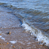 DSC_0602-8f7b061b10324add13e48cfbfa84490e