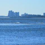 DSC_1027-6e9619467abb46cfe3ec19fd0f6c47b8