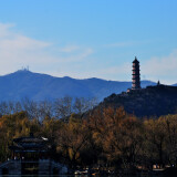 DSC_0806-2df86c7f6ac54c31e9aaa05f04f326bf