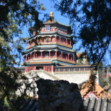 DSC_0826-85febcb4c07da5efa1a13e55e4761618