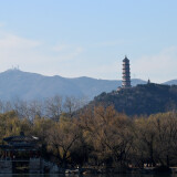 DSC_0805-4dac84be0e50ae4bd84de7efb427c58b