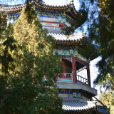 DSC_0789-78fcadb226463405805799b494544f96