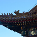 DSC_1007-a5934a48f9d5fbf4d05a5eddeb5d7e0d