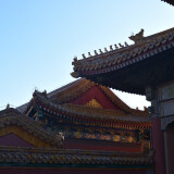 DSC_1012-4876e4f8d803d4c6fcf6bfbee8496ca0